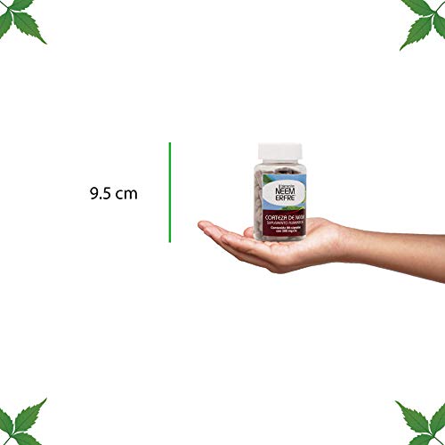 Salud, Guild Imagen adicional