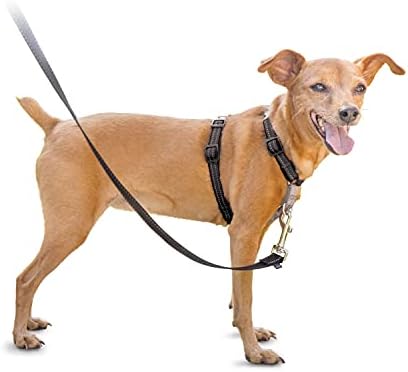 easy walk no pull dog harness
