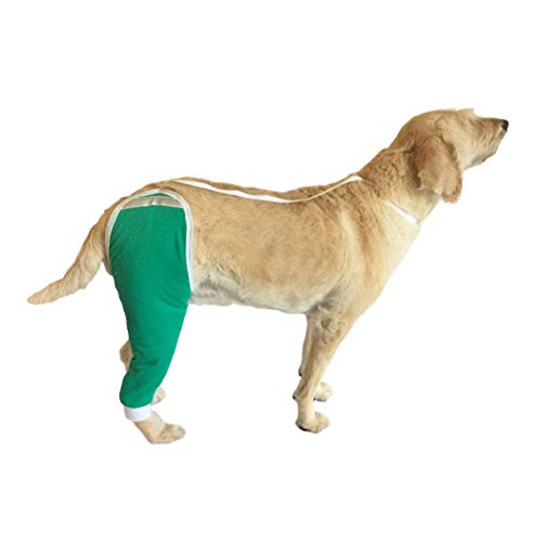 After Surgery Wear Hip and Thigh Wound Protective Sleeve for Dogs. Dog Recovery