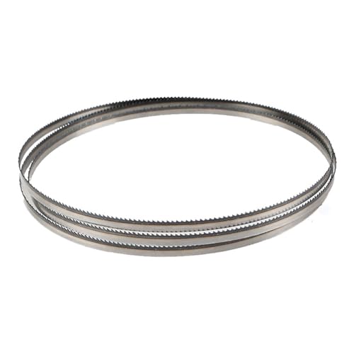 Lame de scie à ruban bois courbe flexible 8 Tpi pour découpe nette