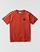 Carhartt Men's Relaxed Fit Lightweight Short-Sleeve C Back Graphic T-Shirt, Spice Red, Large Tall