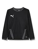 PUMA teamGOAL 23 Jersey LS jr, 152