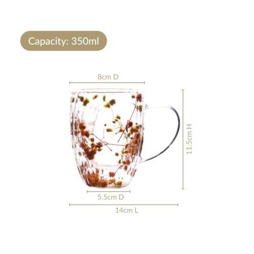 Image of Nestasia Double Wall Glass Mug with Dried Flowers Set of 2 (350ml Each) - Transparent Borosilicate Floral Glass Tea Cups | Lightweight & Durable Coffee Mugs - Perfect for Gifting (Yellow & Orange)