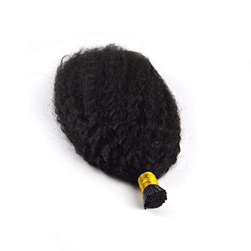 Afro kinky curly I Tip hair extension 100% human hair 1g/strand 100g natural color virgin hair (16, Natural Color)_AB
