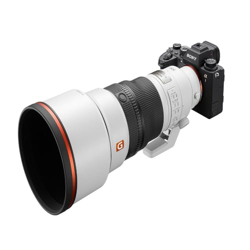 Sony FE 300 mm F2.8 - vue 9