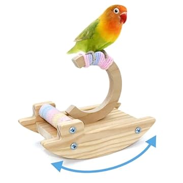 best bird perches for lineolated parakeets that will surprise you 1 best bird perches for lineolated parakeets