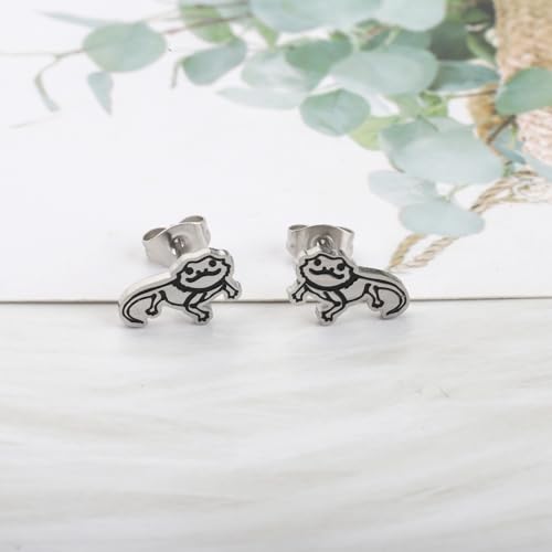 OKEYCH Bearded Dragon Lover Gift Stud Earrings Mom Jewelry3