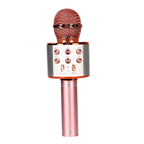 Microphone sans Fil Chant Micro Toys karaoké équipement pour Filles garçons de 4 à 12 Ans, Microphone sans Fil, Micro Chantant pour Les Enfants, Microphone pour Enfants, Microphone de Cover