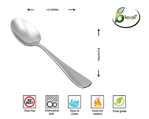 Image of BLeaf Stainless Steel-Spoon Set (Pack of 12)
