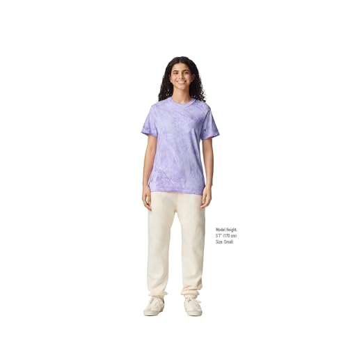 Image of Comfort Colors Adult Heavyweight Short Sleeve Tee, Style G1717 /G1745, Multipack