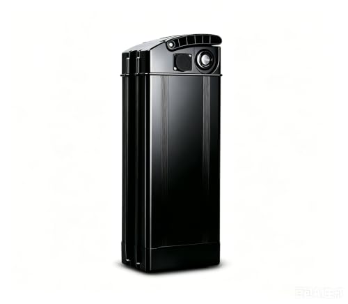 SHEWAIHE 48V 13Ah Battery Suitable for 0-1000W Motors Size: 14.37 x 5.12 x 3.43 inches