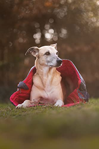 iEnergy™ JUL - Hundedecke Schlafsack Hundebett für Hunde, ideal für Camping, Urlaub, Wandern, Rucksackreisen und Ausflüge, Einheitsgröße für alle Rassen, 105x75x2,5 cm