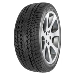 FORTUNA Winterreifen 225/55 R 18 TL 98V WINTER SUV2 BSW M+S 3PMSF