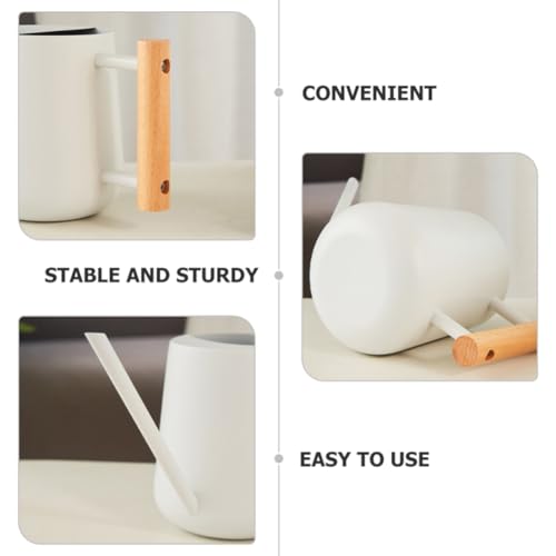 Watering Can Indoor Plants, 30oz/900ml Small Plant Watering Can with Long Spout, Stainless Steel Garden Watering Cans Outdoor Watering Pot for Indoor House Plants Bonsai Flower Decorative