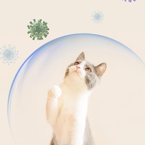 Filtros de espuma para fuente de agua para gatos 10 pack miniatura 7