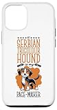 Photo Gallery custodia per iphone 15 fare jogging con un cane da caccia serbo Photo Gallery custodia per iphone 15 fare jogging con un cane da caccia serbo