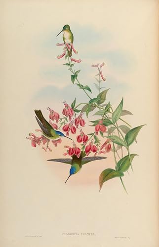 Tableau animal oiseau pour salon : sublimez vos grands murs blancs en 60x90cm