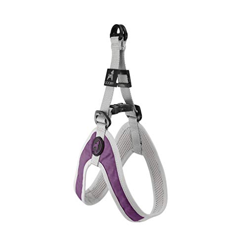 Gooby-Simple-Step-in-III-Harness-Purple-Small-Small-Dog-Harness-with-Scratch-Resistant-Outer-Vest-Soft-Inner-Mesh-Harness-for-Small-Medium-Dogs Gooby Simple Step in III Harness Purple Small Small Dog Harness with Scratch Resistant Outer Vest Soft Inner Mesh Harness for Small Medium Dogs