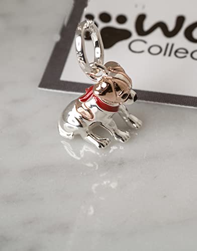 Abalorio de perro Jack Russell de plata esterlina compatible con pulsera charm 4