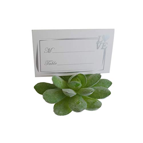 Resin Succulent Plants Name Number Menu Table Place Card Holder Wedding Baby Shower