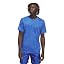 Team Royal Blue/True Blue