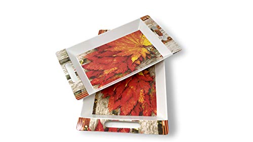 Image of Crystal By UPC Melamine Serving Tray, Set of 2 (Medium and Large Size) Rosseate Series Tray