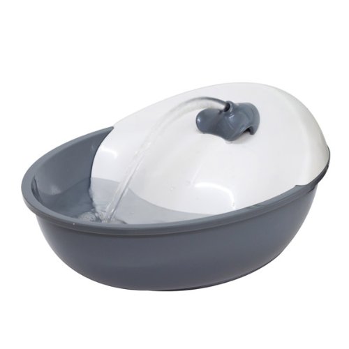 Pioneer Pet Fontaine D'eau Chien-Chat