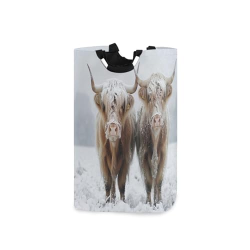 Jihqo Laundry Hamper Basket Highland Cows Collapsible Nursery Storage Bin Waterproof Clothing Baskets for Home Bedroom Bathroom Washing Room