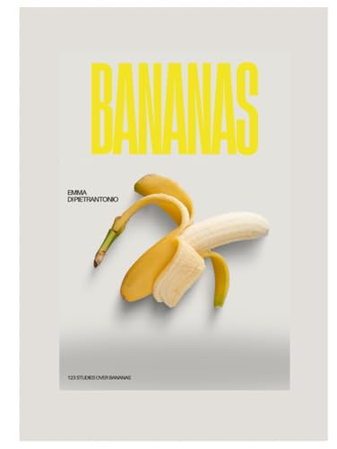 Bananas 123 studios pour hébergement meublé et studio étudiant