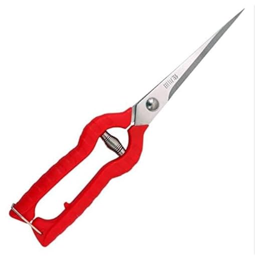 Extra Long Edge Stainless Steel Pruning Shears Fruit Trees Bonsai Sharp Garden Scissors Tool