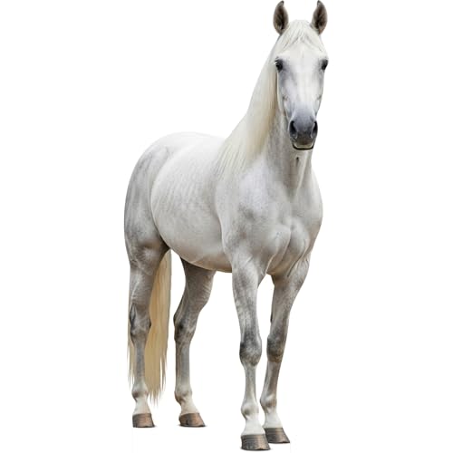 Image of White Horse 4FT Life Size Cardboard Cutout, 1 PC | Fun Animal Standup for Events, Party Decor, Birthday & Photos