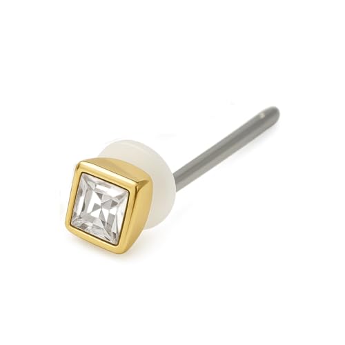 stelino sAX fB[X `^|Xg ZJh t@[Xg CXg[ AM[Ή U  (S[h(Ў)NX^)