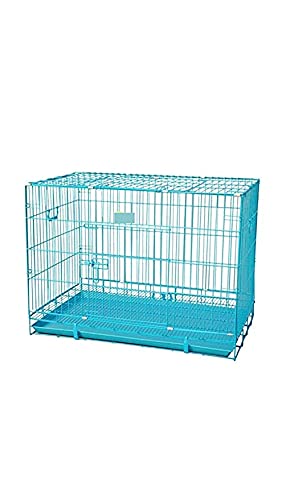 Double Door Folding Metal cage with Removable Tray and paw Protector for Dogs ,Cats and Rabbits 36 inch ( Blue ) - Central Fish Aquarium