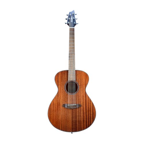 Breedlove ECO Discovery S RT[g AR[XeBbNM^[ - AtJ}zKj[