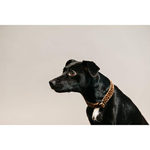 Collier pour chiens avec clips pratiques et réglable 28-40cm léopard brun - 3