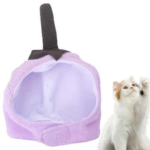 pXq - RX`[ AEgtBbg wbhMA iX fUC - q̖Xq,U q ybg nEB a NX}X p[eB[