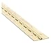 Continuous Hinge, Brass, 6 ft L, 1-1/2 in W
