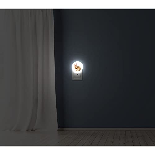 Image of Axayaz Rabbit Plug in Night Light Cute Animal Sketch of Bunny with Quote Happy Easter Brown Feather Auto LED Lamp Energy Saving Round Lights for Boys Girls Men Women