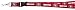 NFL San Francisco 49ers Lanyard, Standard, Red