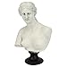 Design Toscano EU15816 Venus de Milo Bust Statue, 12 Inch, Polyresin, Antique Stone