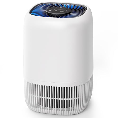 OMISOON Purificatore aria personale, filtro HEPA H13, 5W