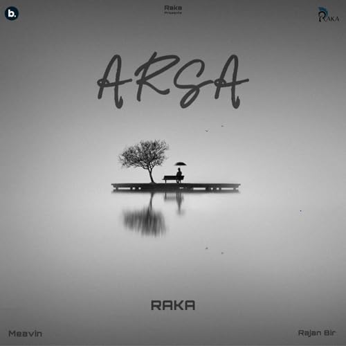  Arsa