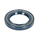 Corteco 12011163B Ring