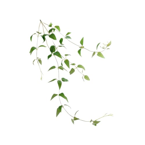 JUMPLAWN lHN}`Xt^Ǐ CeAO[ ϗtAK[ffR[V peiXsv