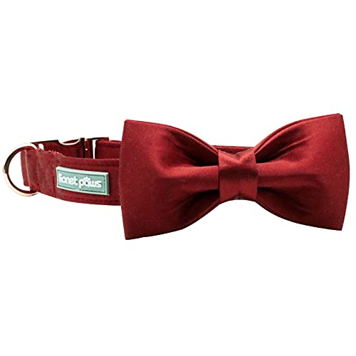 Lionet Paws Hundehalsband mit Fliege - komfortable Seide Weihnachten Hundehalsband mit abnehmbaren Fliege für kleine Hunde, Hals 25-40cm