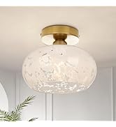 FRIDEKO HOME Deckenlampe mit Lampenschirm Glas,Modern Deckenleuchte Gold Flurlampe für Badezimmer...
