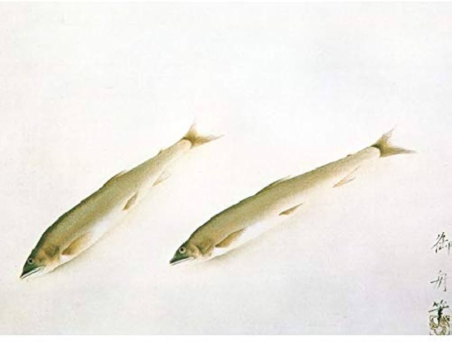 Amazon.co.jp: 速水御舟『鮎(尺五横)』版画+手彩色 掛け軸 日本画 動物