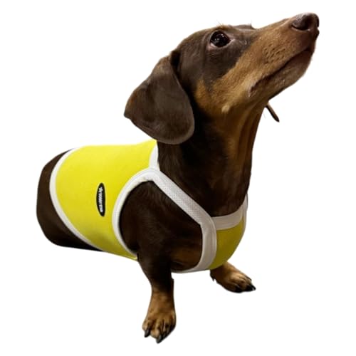 D DOGGY STAR ダックス服 接触冷感 ひんやり スポーツ クール クロップド タンクトップ 小型犬 中型犬 ダックスフンド 夏 ドッギースター (黄色, XL)