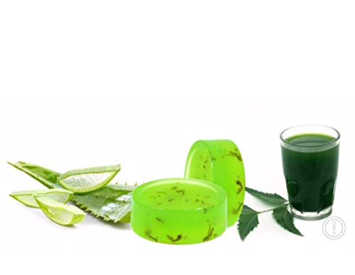 The Prakriti Studio Aloe Vera Neem Soap (Pack of 2)