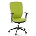 Produktbild hjh OFFICE Bürostuhl/Drehstuhl Traffic 30 Hochlehne Stoff apfelgrün